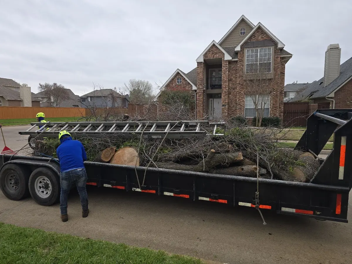 Expert Tree Removal with proper safety equipment in Mc Henry